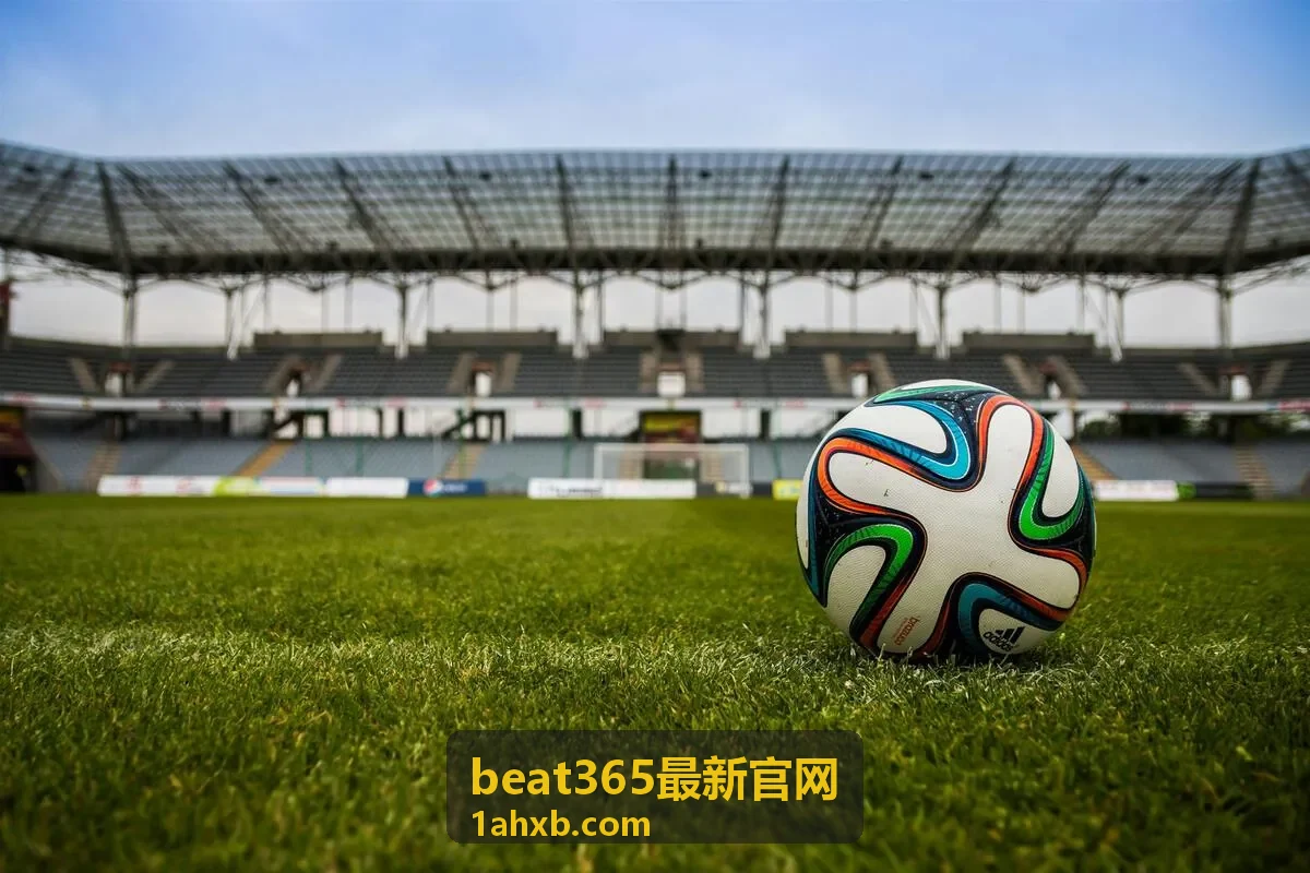 beat365最新官网 功能范围扩展公告说明配图